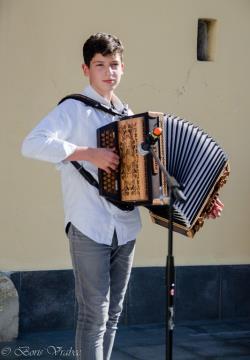 Trgatev stare trte 8